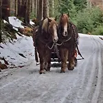 アパート Corso Rustic Luxury Harrachov, In - Out, Free Parking, High Speed Wi-fi, Smart Tv ハルラホフ