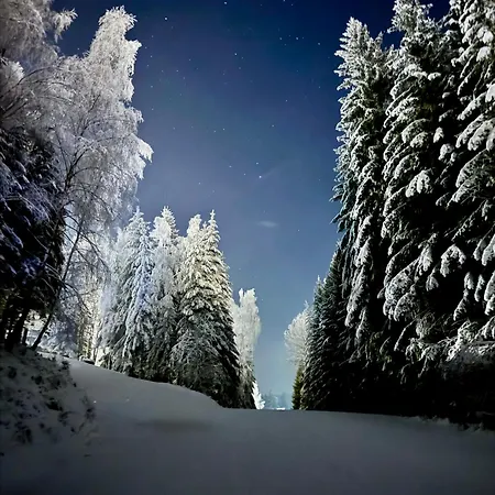Corso Rustic Luxury Harrachov, In - Out, Free Parking, High Speed Wi-fi, Smart Tv * 哈拉霍夫