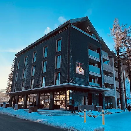 Corso Rustic Luxury Harrachov, In - Out, Free Parking, High Speed Wi-fi, Smart Tv * Harrachov