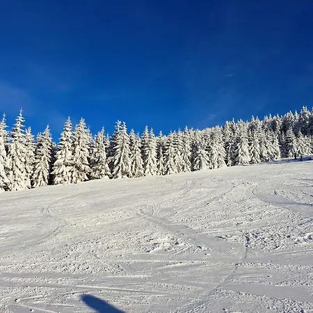 Corso Rustic Luxury Harrachov, In - Out, Free Parking, High Speed Wi-fi, Smart Tv Apartament *