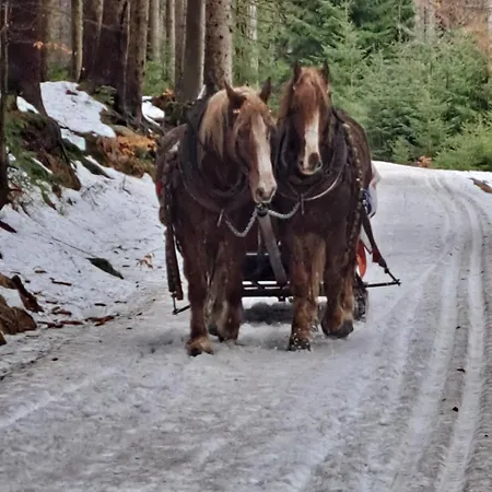 公寓 Corso Rustic Luxury Harrachov, In - Out, Free Parking, High Speed Wi-fi, Smart Tv 哈拉霍夫