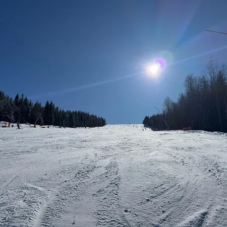 Διαμέρισμα Corso Rustic Luxury Harrachov, In - Out, High Speed Wi-fi, Smart Tv Harrachov