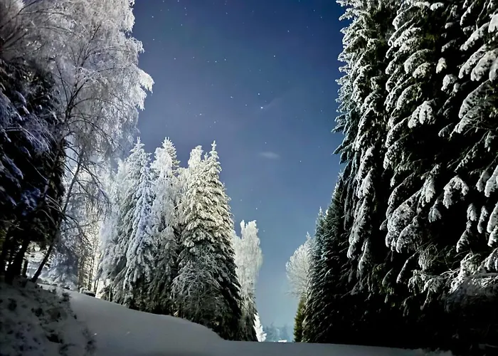 Corso Rustic Luxury Harrachov, In - Out, Free Parking, High Speed Wi-fi, Smart Tv * Harrachov