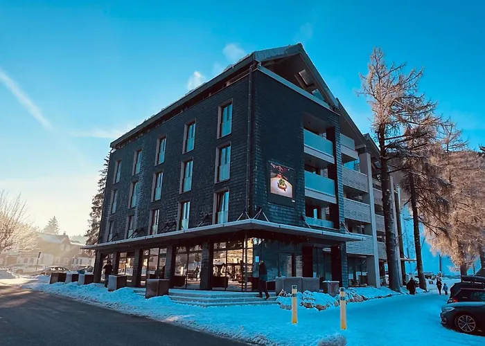 Corso Rustic Luxury Harrachov, In - Out, Free Parking, High Speed Wi-fi, Smart Tv * Harrachov