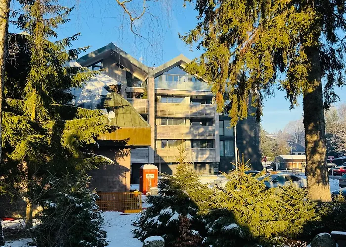 アパート Corso Rustic Luxury Harrachov, In - Out, Free Parking, High Speed Wi-fi, Smart Tv ハルラホフ