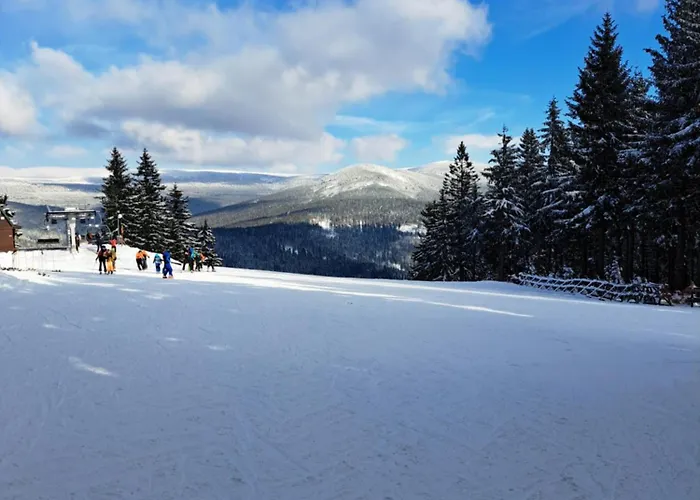Corso Rustic Luxury Harrachov, In - Out, Free Parking, High Speed Wi-fi, Smart Tv Harrachov