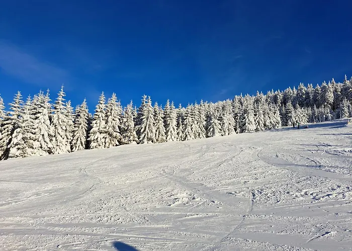 Corso Rustic Luxury Harrachov, In - Out, Free Parking, High Speed Wi-fi, Smart Tv Apartamento *